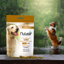 Load image into Gallery viewer, CBD Mobility Chews for Dogs